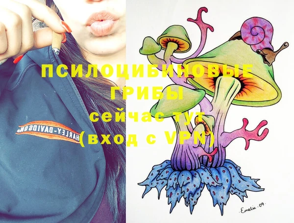 COCAINE Гусев