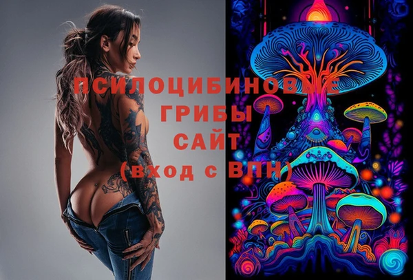 кокс Гусь-Хрустальный