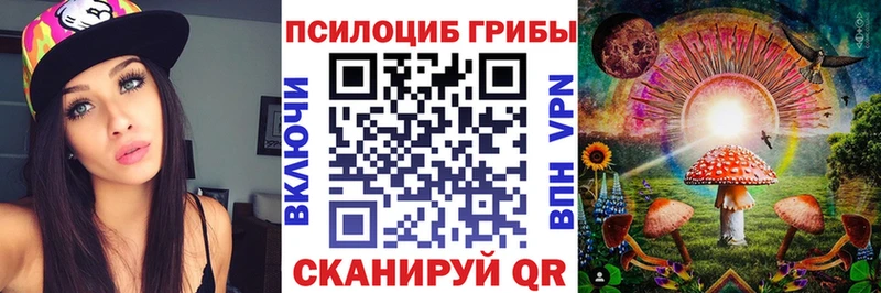 Псилоцибиновые грибы Cubensis  Купить  Кадников 